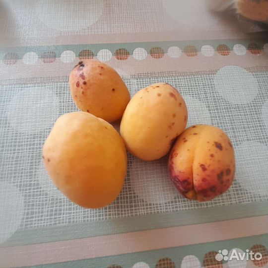 Абрикосы,груши