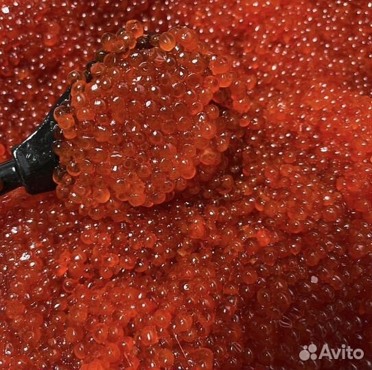 Красная икра Форели оптом 1000 г