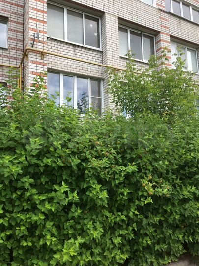 1-к. квартира, 32 м², 1/10 эт.