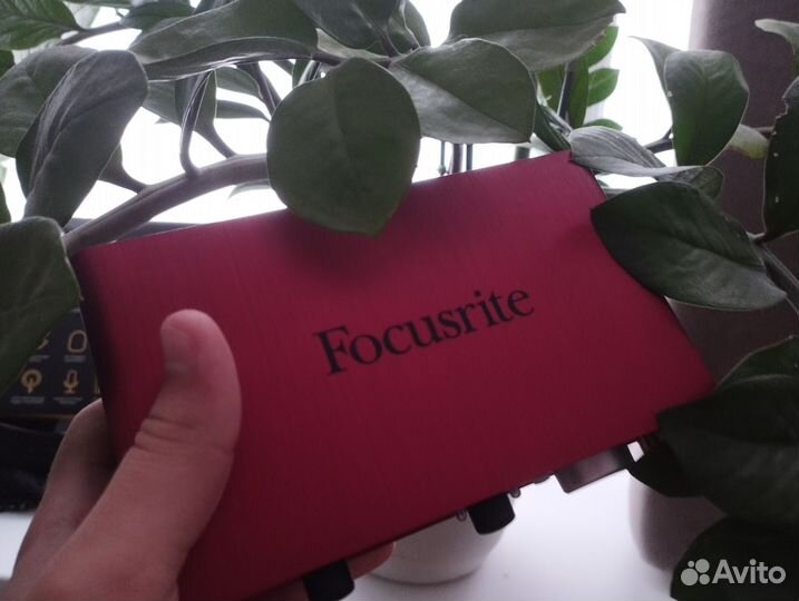 Focusrite scarlett 2i2