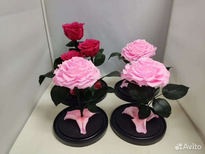 Роза в колбе