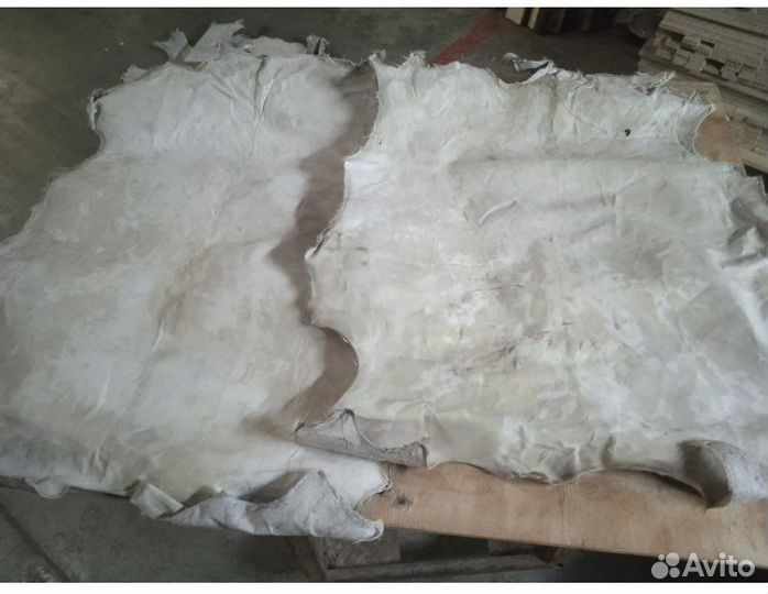 Кожа для бубна, барабана