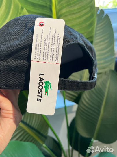 Кепка бейсболка Lacoste в ТЦ Дом Мод
