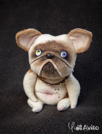 Смешной тедди бульдог