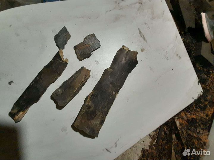 Щепа бивня мамонта