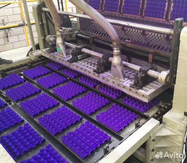 Линия по производству упаковки для яиц