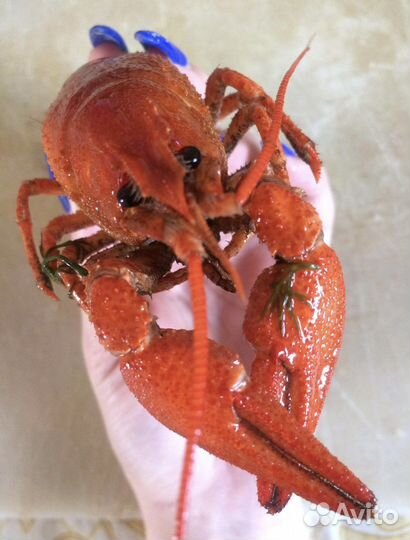 Съедобные букеты,корзинки с фруктами и наборы