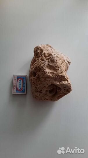 Камень Аммонит