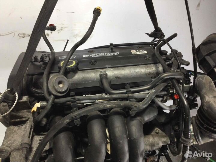 Двигатель Ford Focus, 1999, бенз. 1.6, fydc