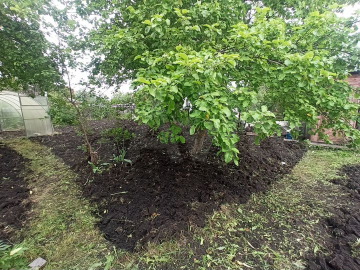 Участок 6 сот. (СНТ, ДНП)