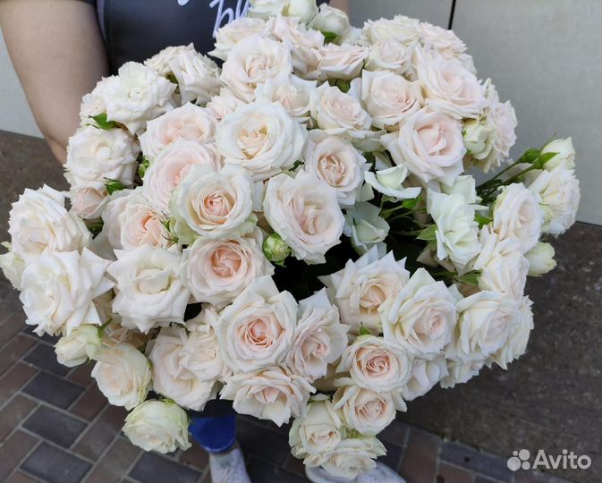 Роза кустовая в наличии