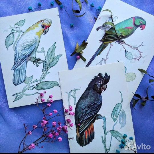 Набор открыток 