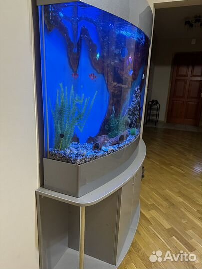 Акриловый аквариум
