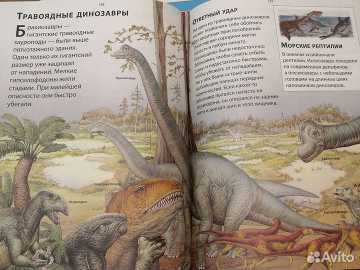 Энциклопедия для детей