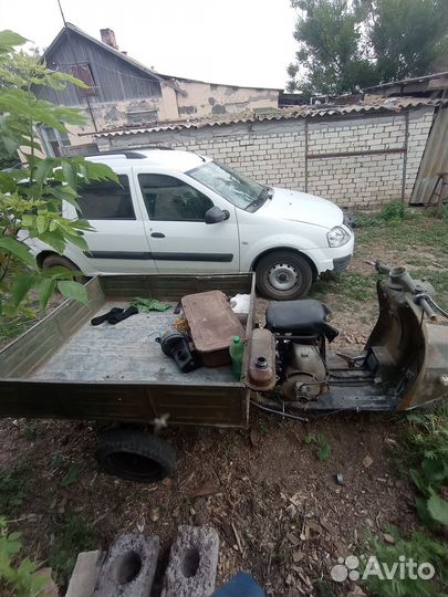 Продам муровей