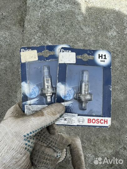 Лампы bosch h1