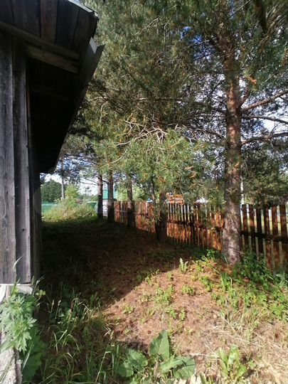 Участок 20,6 сот. (ИЖС)