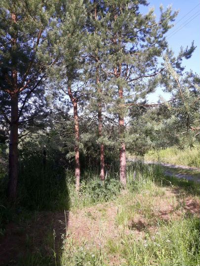 Дача 30 м² на участке 12 сот.