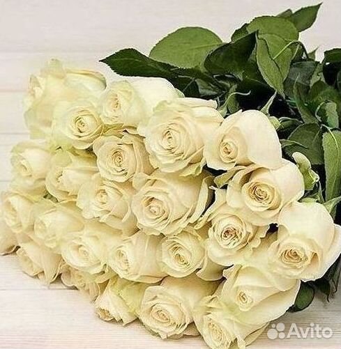 Высокие розы Гигантские розы с доставкой