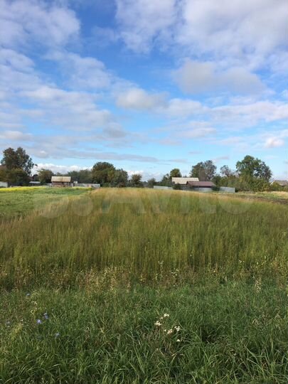 Участок 52 сот. (ИЖС)