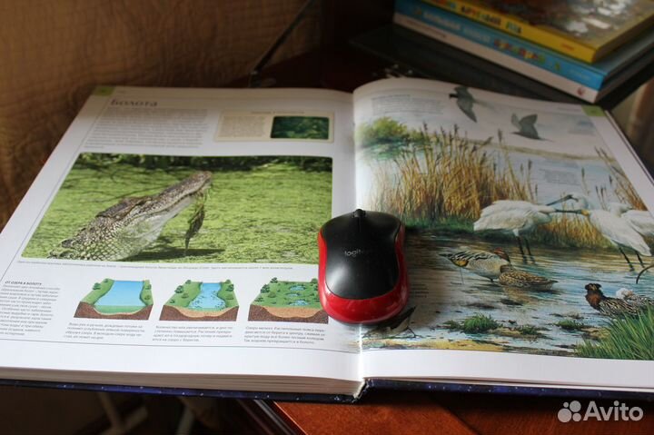 Детский Атлас Земли