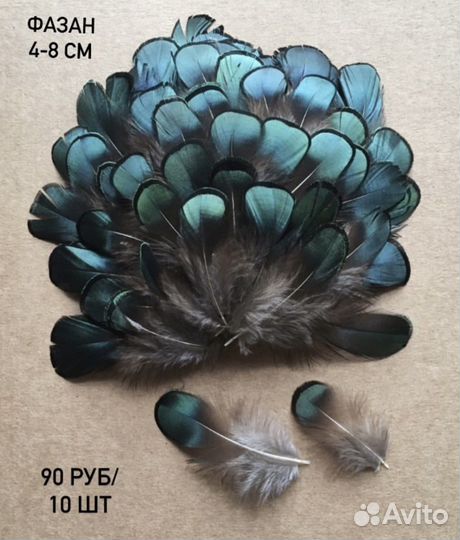 Набор перьев фазана для творчества