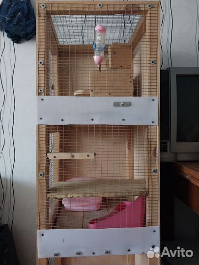 Клетка-Витрина