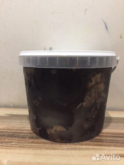 Черный груздь соленый