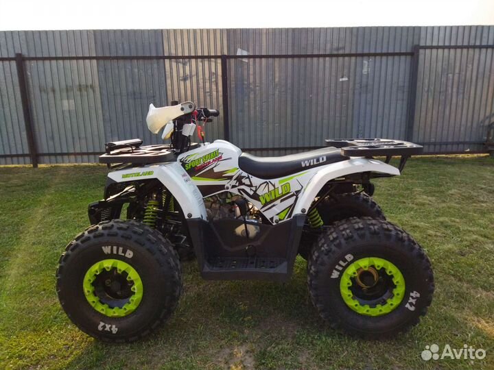 Motolenb wild 125
