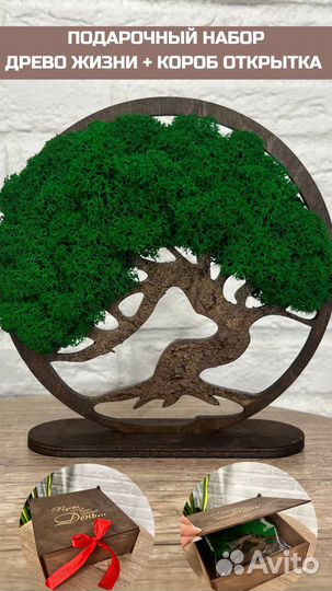 Панно/картина из стабилизированного мха