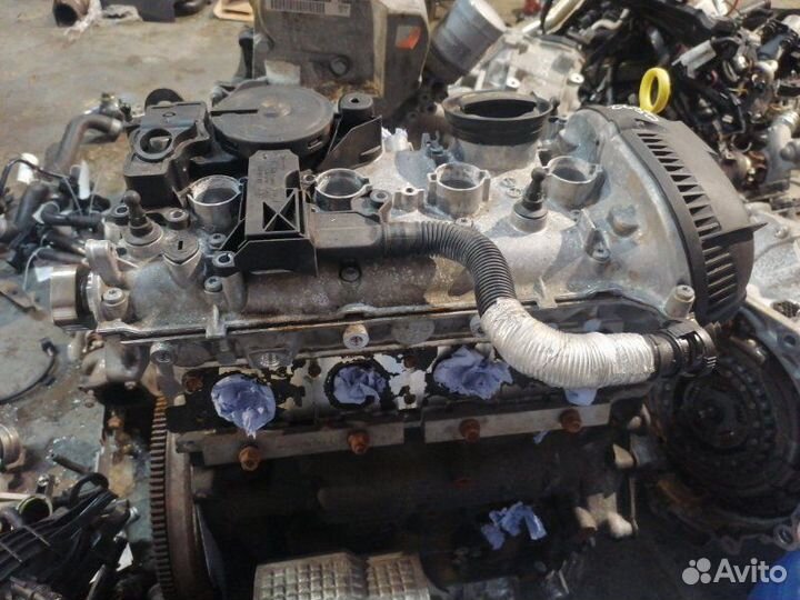 Двигатель Volkswagen Passat B6 cdaa 2010