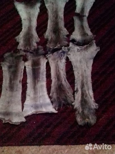 Шкурки оленя