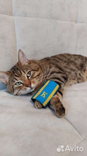 Фальш-погоны курсанта вышитые