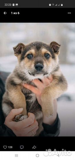 Очень красивый мальчик