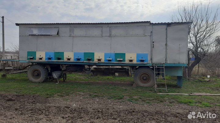 Пчеловодный павильон