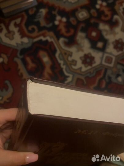 Фабрициус. Кремль в Москве