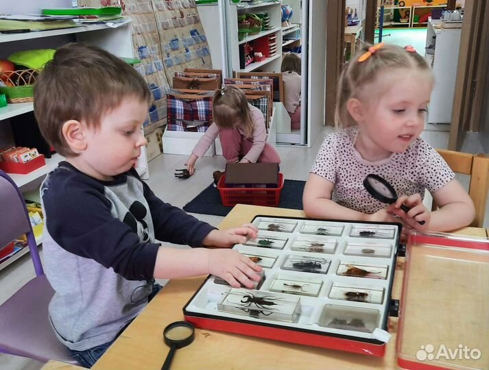 Детский сад для детей 3-6 лет