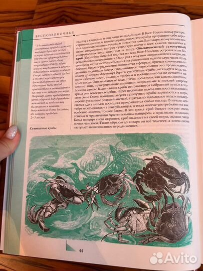 Книга «Жизнь животных», А. Брем