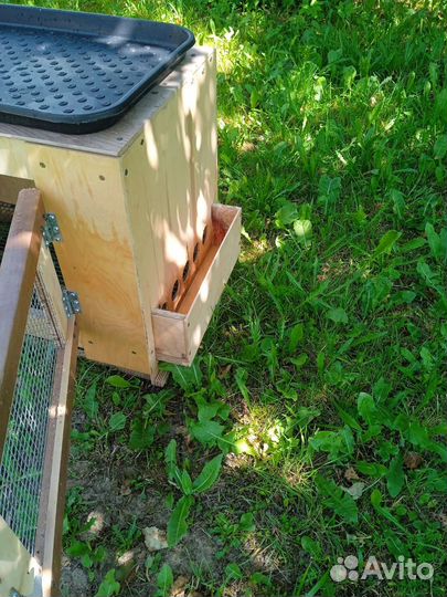 Брудер для цыплят бу