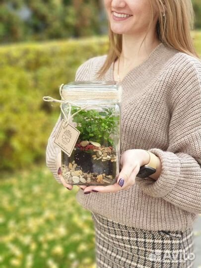 Флорариум В банке