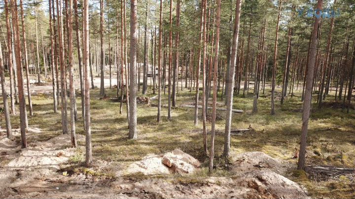 Участок 12,8 сот. (ИЖС)