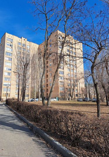 2-к. квартира, 83,9 м², 2/12 эт.