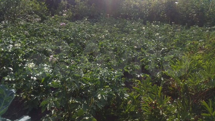 Дача 15 м² на участке 6,4 сот.