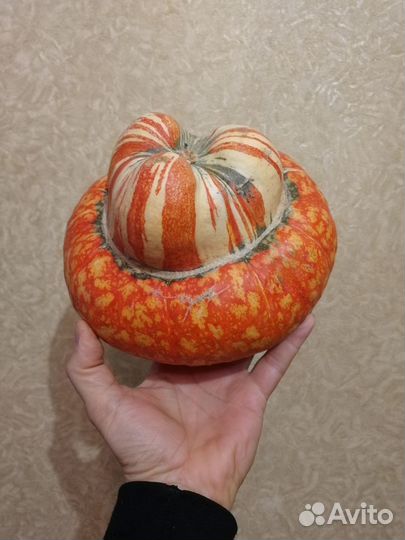 Семена тыквы: