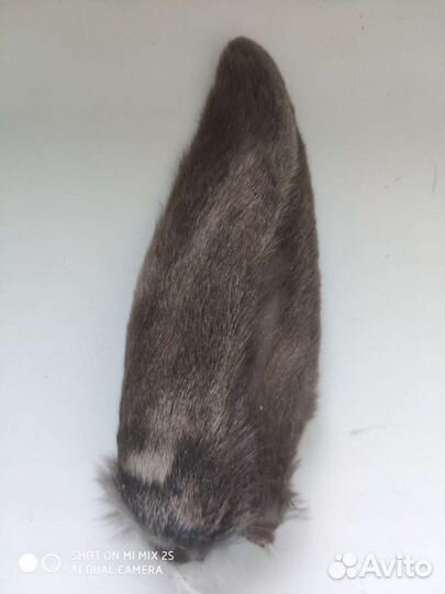 Лакомство для кошек и собак