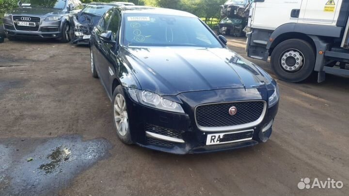 Jaguar xf x260 sport на запчасти