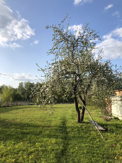 Участок 15 сот. (ИЖС)