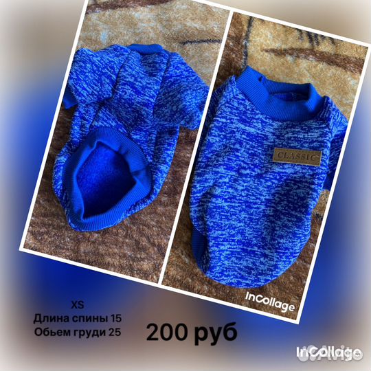 Одежда для животных