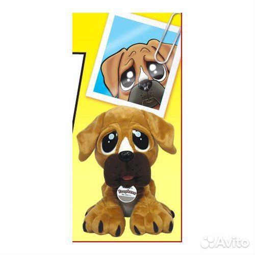 Собака Pawphans