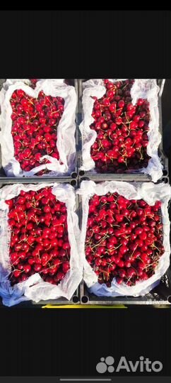 Фрукты овощи доставка на дом